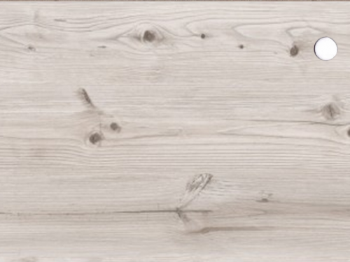 Сосна бискайская (2058М) Сосна бискайская (2058М)