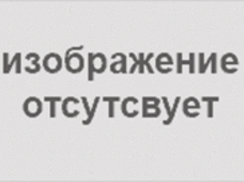 Газ-лифт 100N (10кг.)